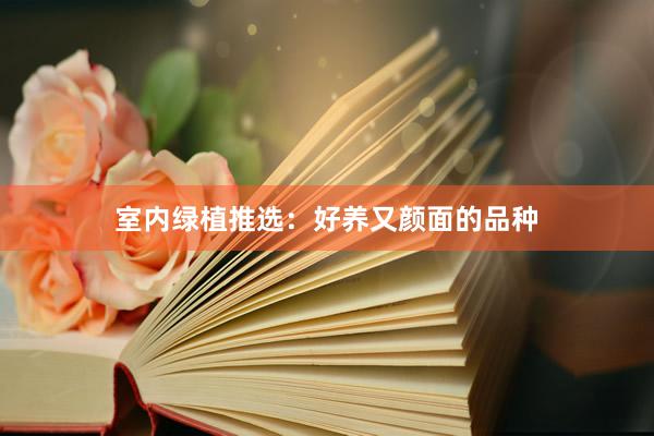 室内绿植推选：好养又颜面的品种