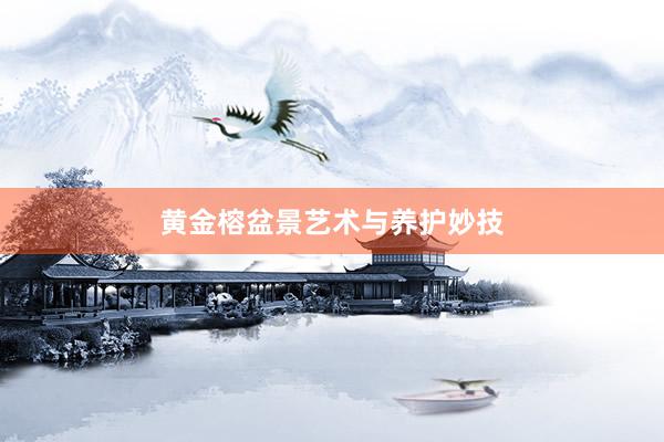 黄金榕盆景艺术与养护妙技
