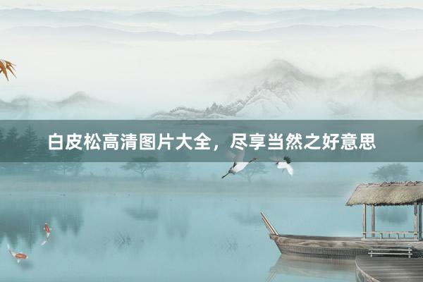 白皮松高清图片大全，尽享当然之好意思