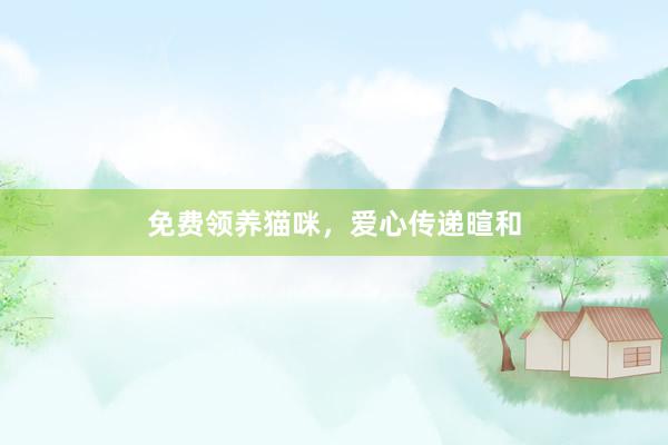 免费领养猫咪，爱心传递暄和
