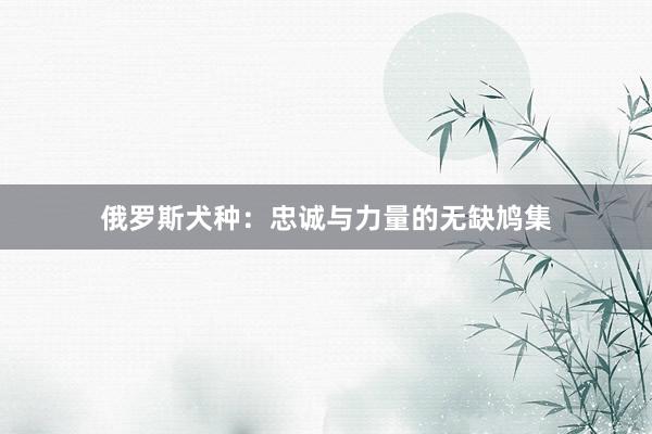 俄罗斯犬种：忠诚与力量的无缺鸠集